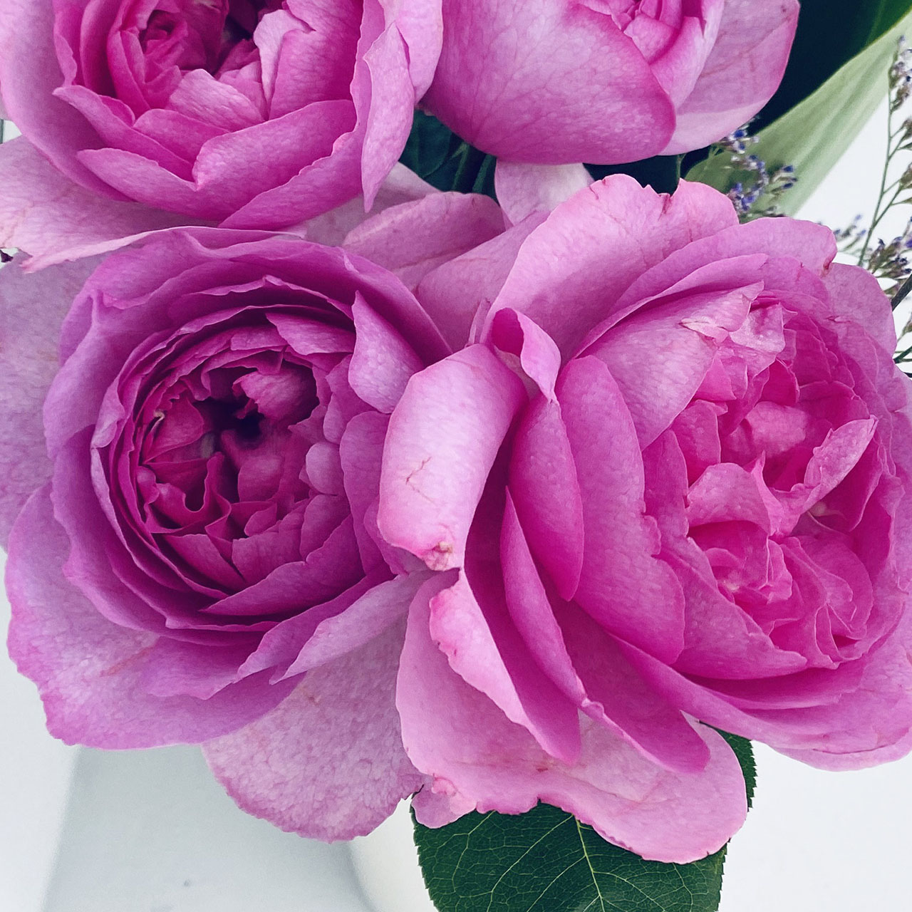 商品画像2枚目：スタッフ おまかせアレンジ