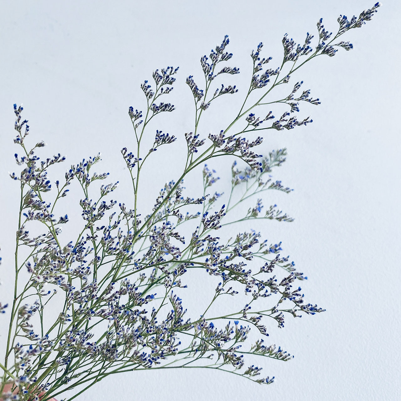 商品画像4枚目：スタッフ おまかせアレンジ