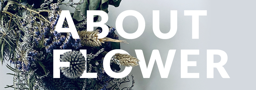 About Flower